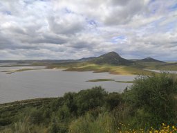 Flora del Cerro Masatrigo